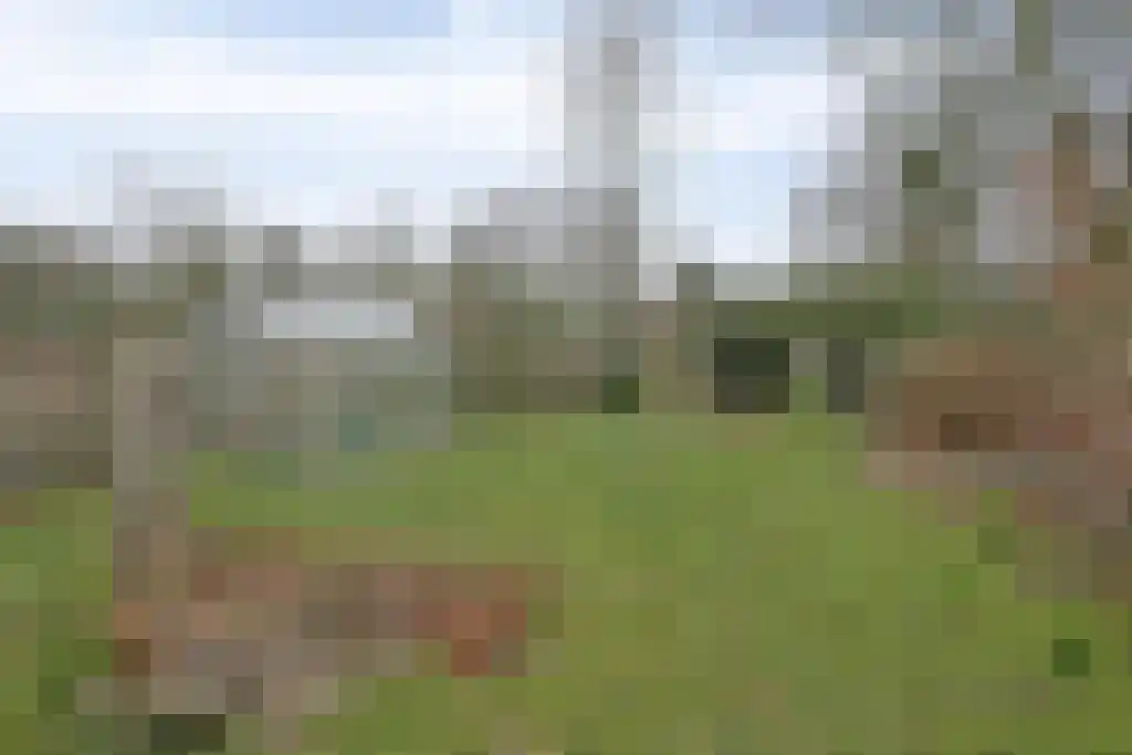 Klein Belgie 14 Vijfhuizen thumbnail 32