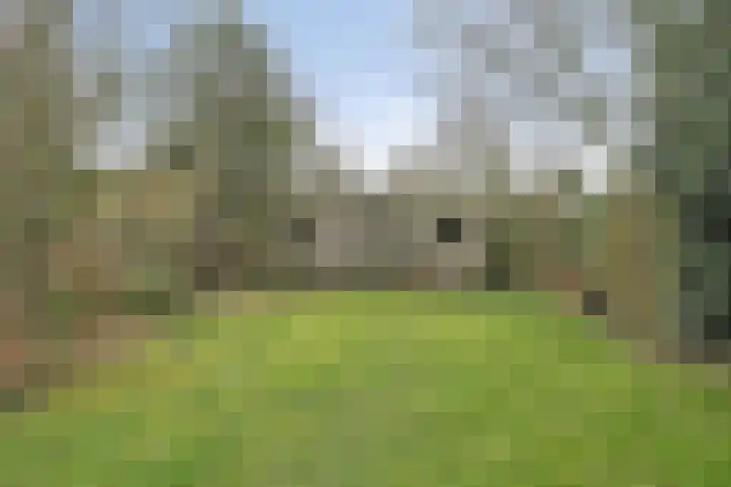 Klein Belgie 14 Vijfhuizen thumbnail 33