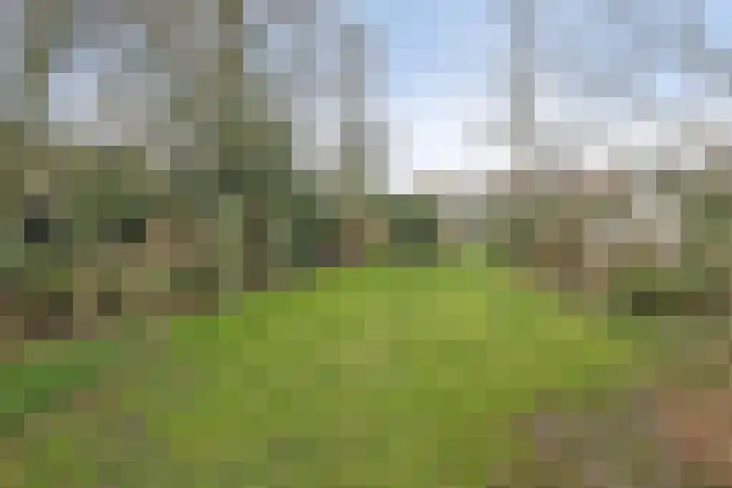 Klein Belgie 14 Vijfhuizen thumbnail 36
