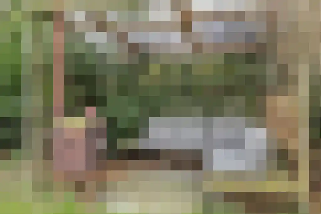 Klein Belgie 14 Vijfhuizen thumbnail 37