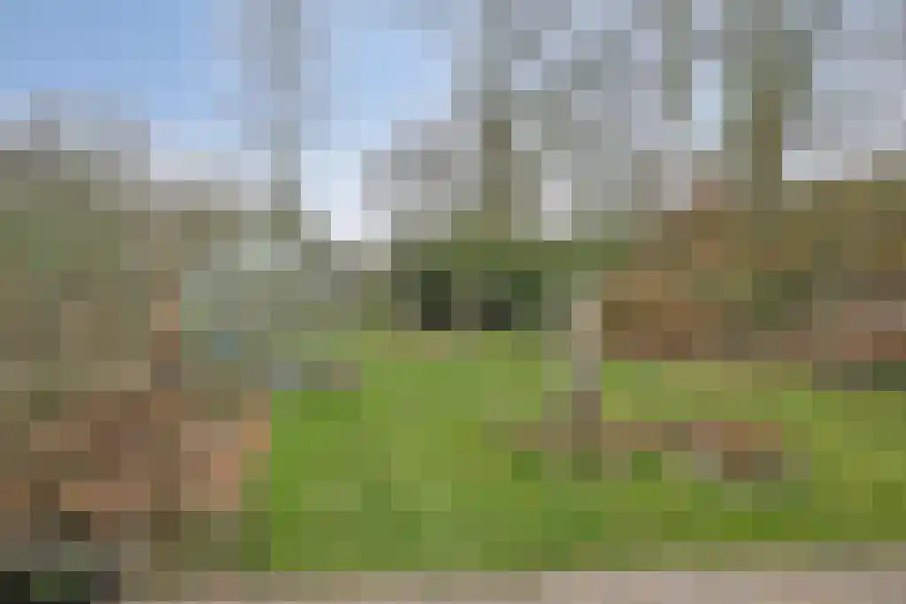 Klein Belgie 14 Vijfhuizen thumbnail 38