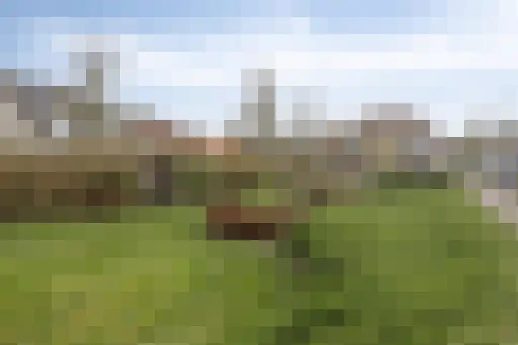 Klein Belgie 14 Vijfhuizen thumbnail 39