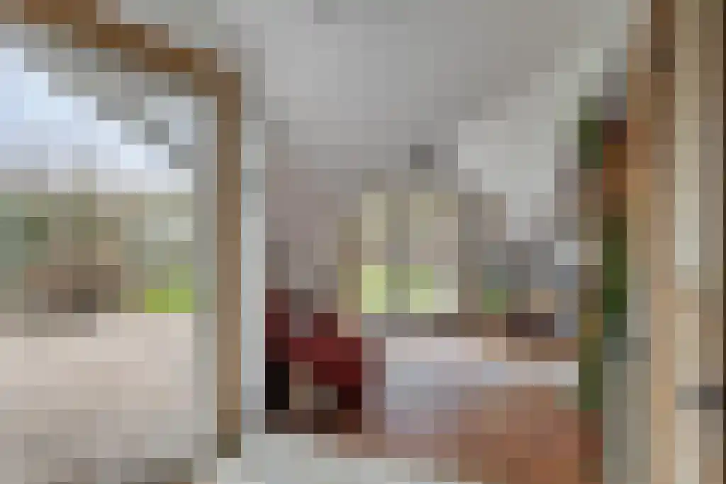 Klein Belgie 14 Vijfhuizen thumbnail 4