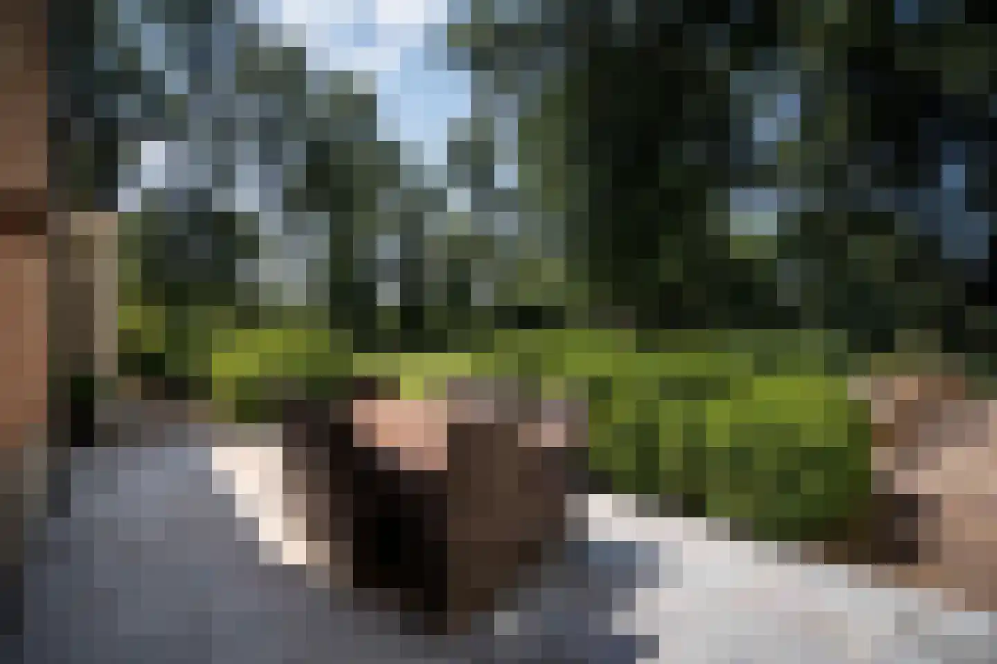 Klein Belgie 14 Vijfhuizen thumbnail 6