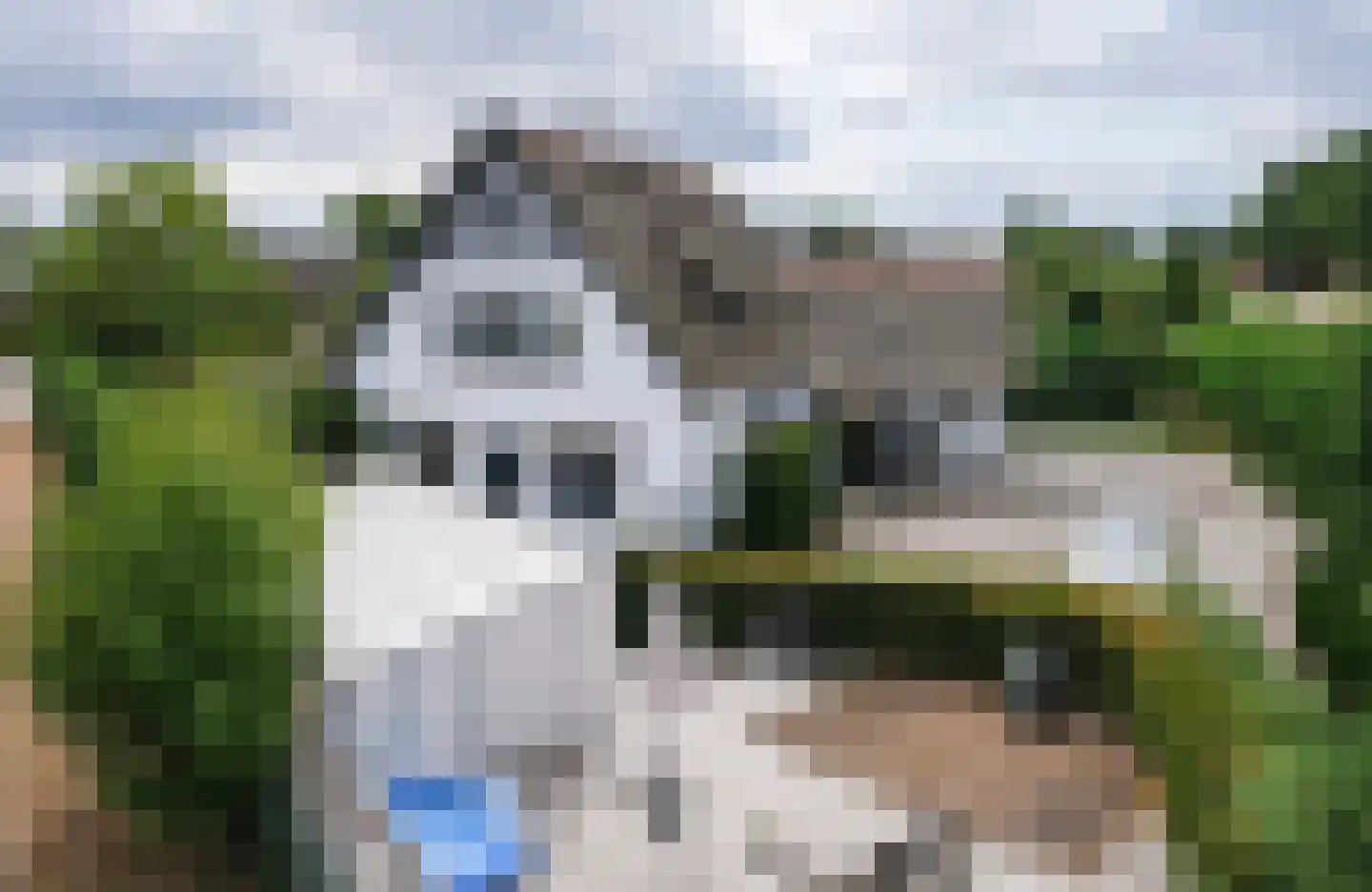 Klein Belgie 143 Vijfhuizen thumbnail 22