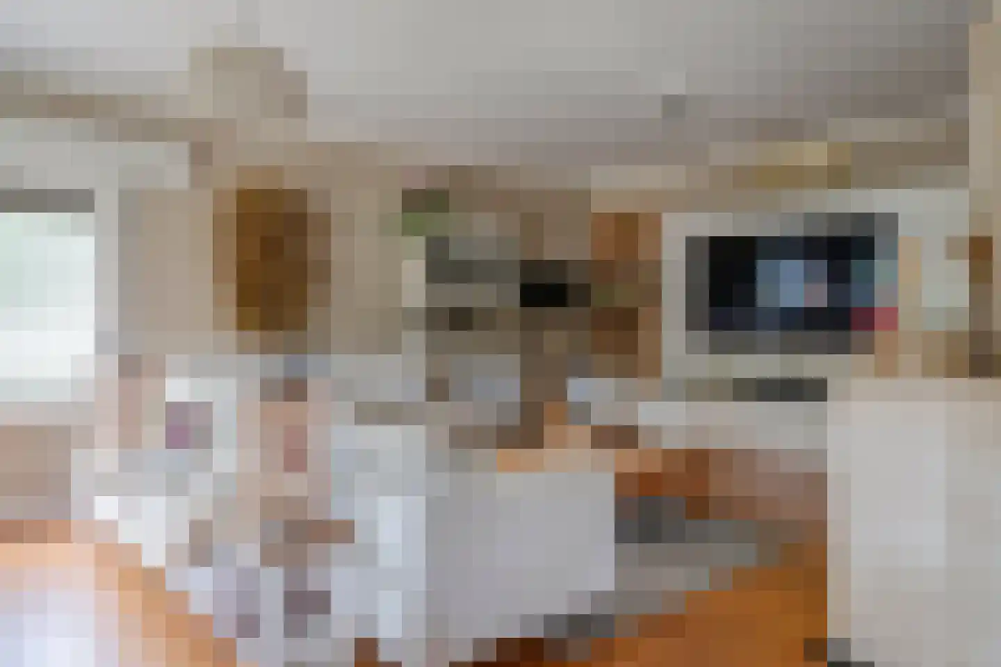 Klein Belgie 143 Vijfhuizen thumbnail 7
