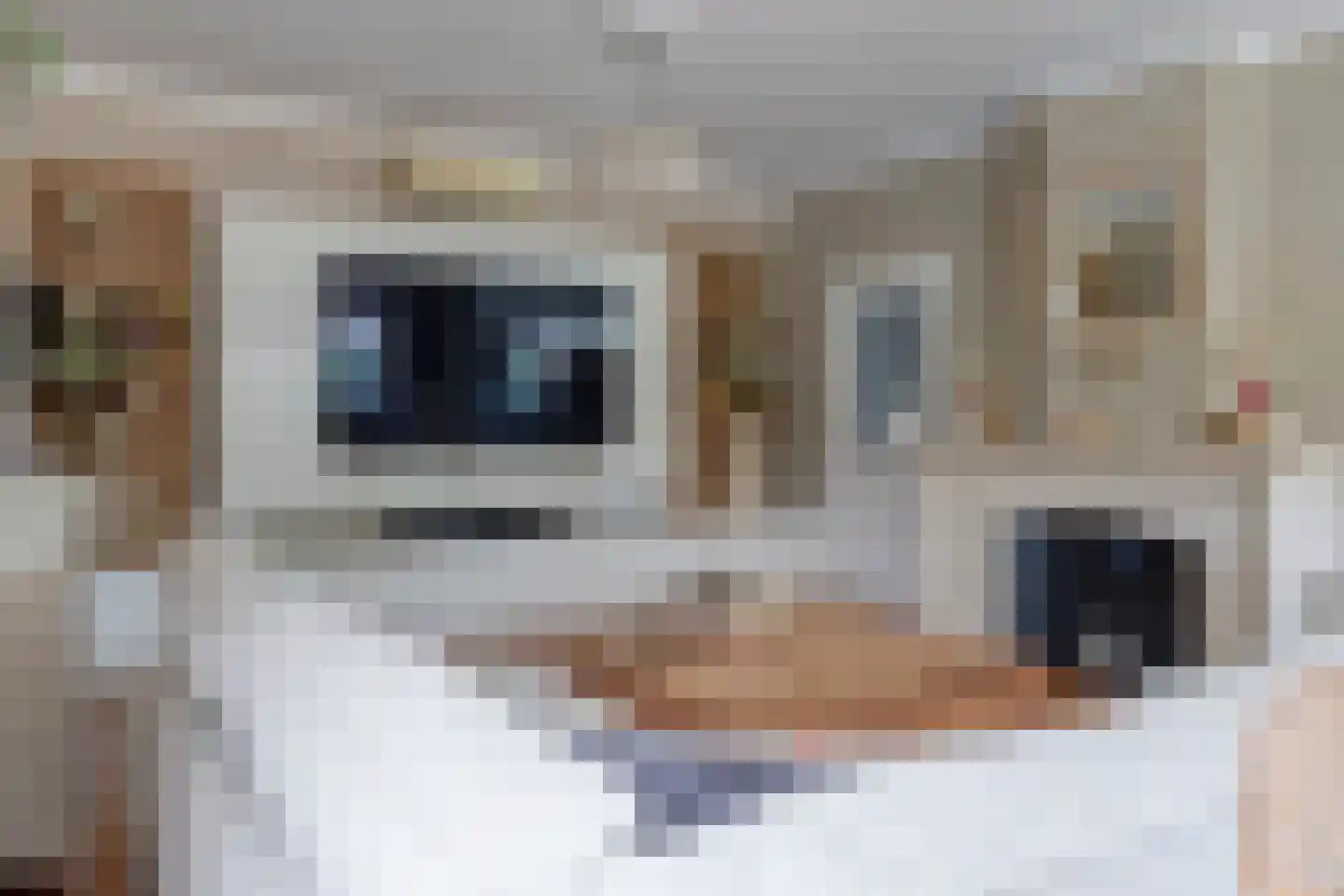 Klein Belgie 143 Vijfhuizen thumbnail 8