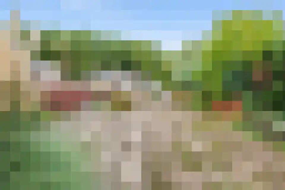 Klein Belgie 15 3620 Vijfhuizen thumbnail 10