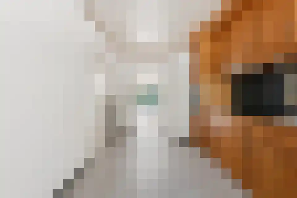 Klein Belgie 15 3620 Vijfhuizen thumbnail 14