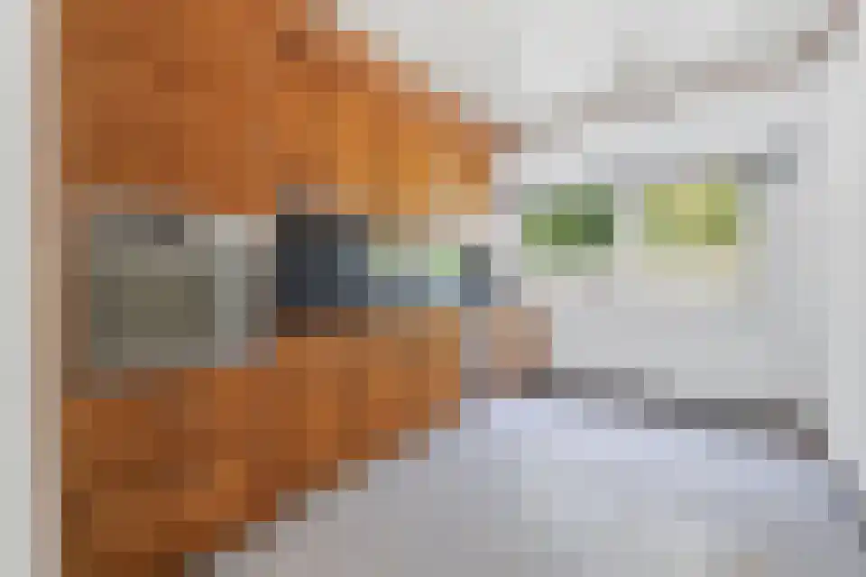 Klein Belgie 15 3620 Vijfhuizen thumbnail 16