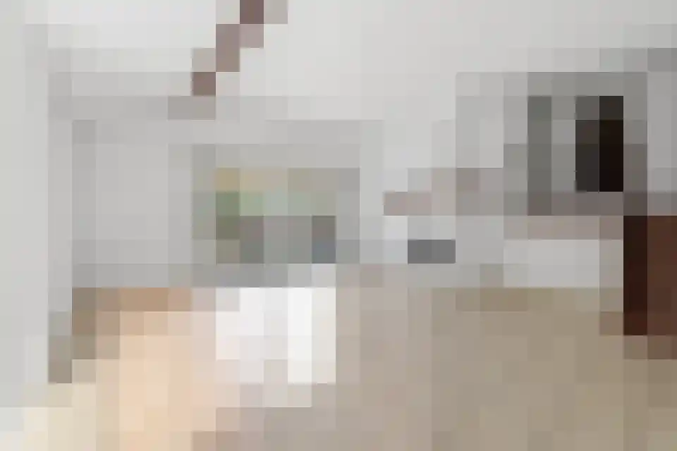 Klein Belgie 15 3620 Vijfhuizen thumbnail 18