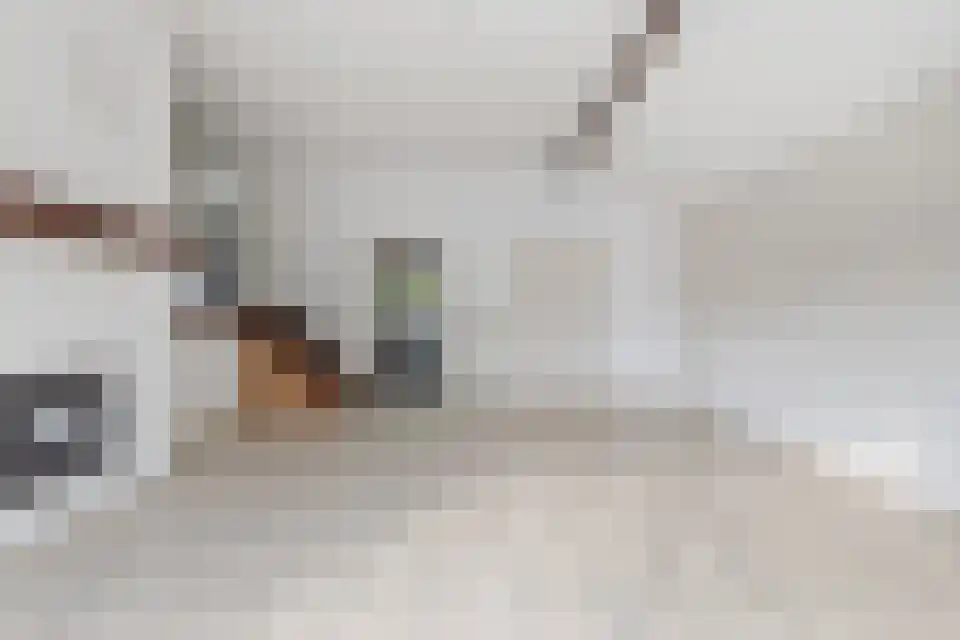 Klein Belgie 15 3620 Vijfhuizen thumbnail 20