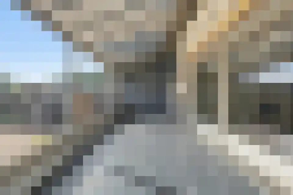 Klein Belgie 15 3620 Vijfhuizen thumbnail 24