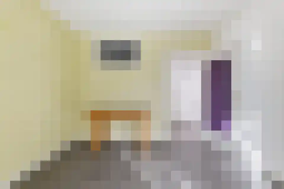 Klein Belgie 15 3620 Vijfhuizen thumbnail 28