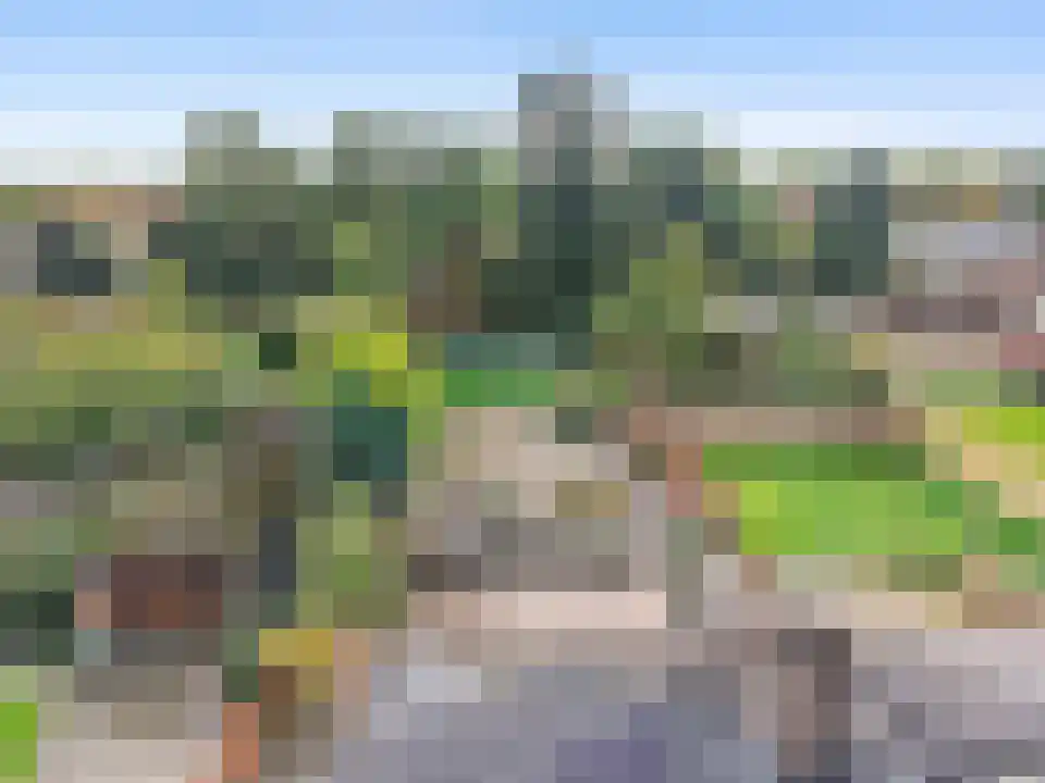 Klein Belgie 15 3620 Vijfhuizen thumbnail 5