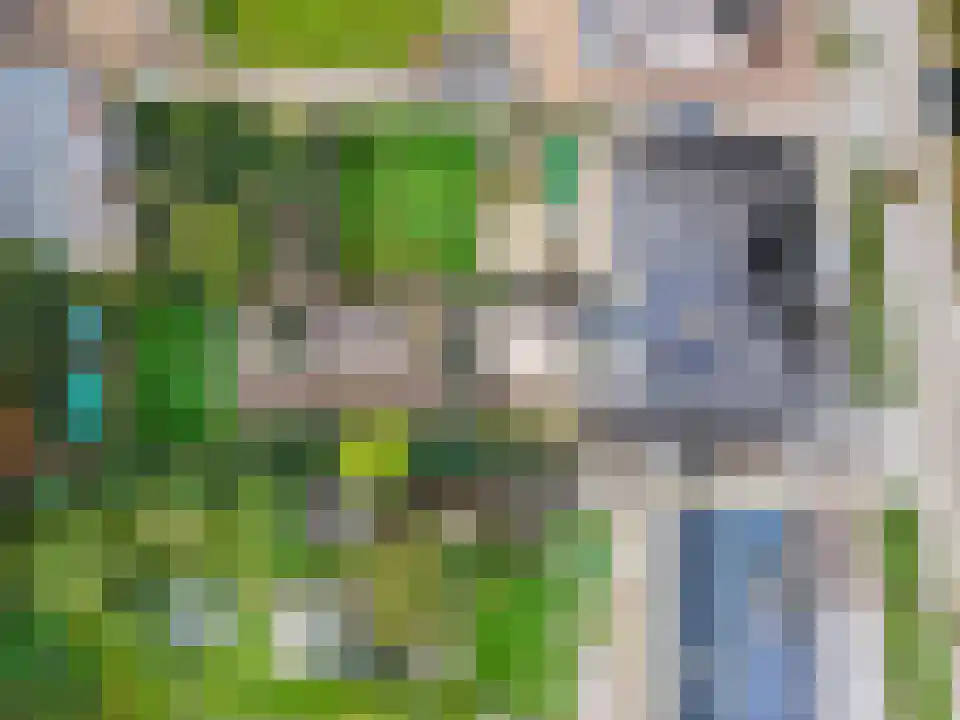 Klein Belgie 15 3620 Vijfhuizen thumbnail 6