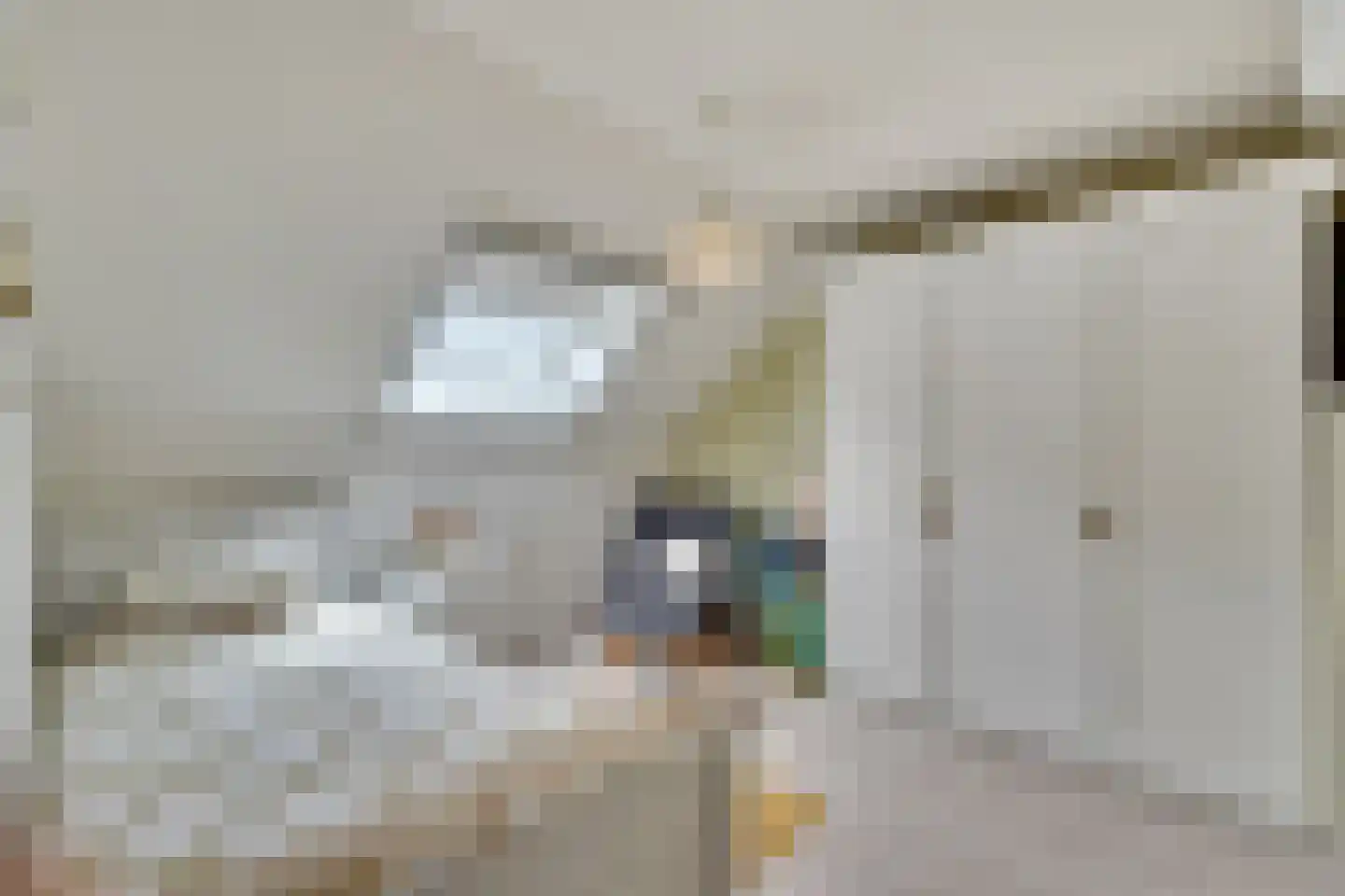 Klein Belgie 15 A Vijfhuizen thumbnail 10