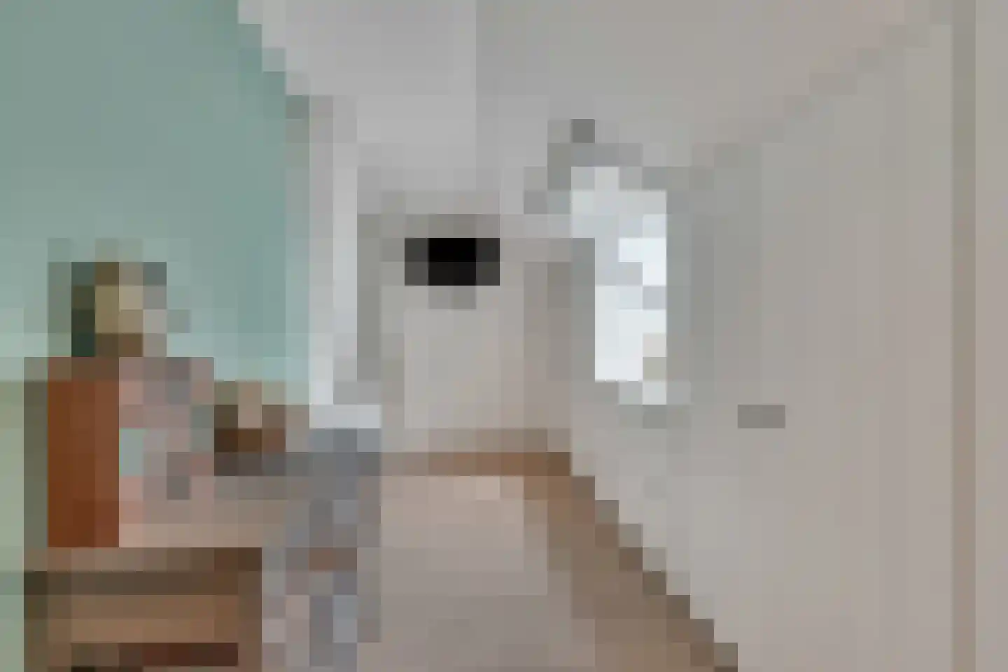 Klein Belgie 15 A Vijfhuizen thumbnail 11