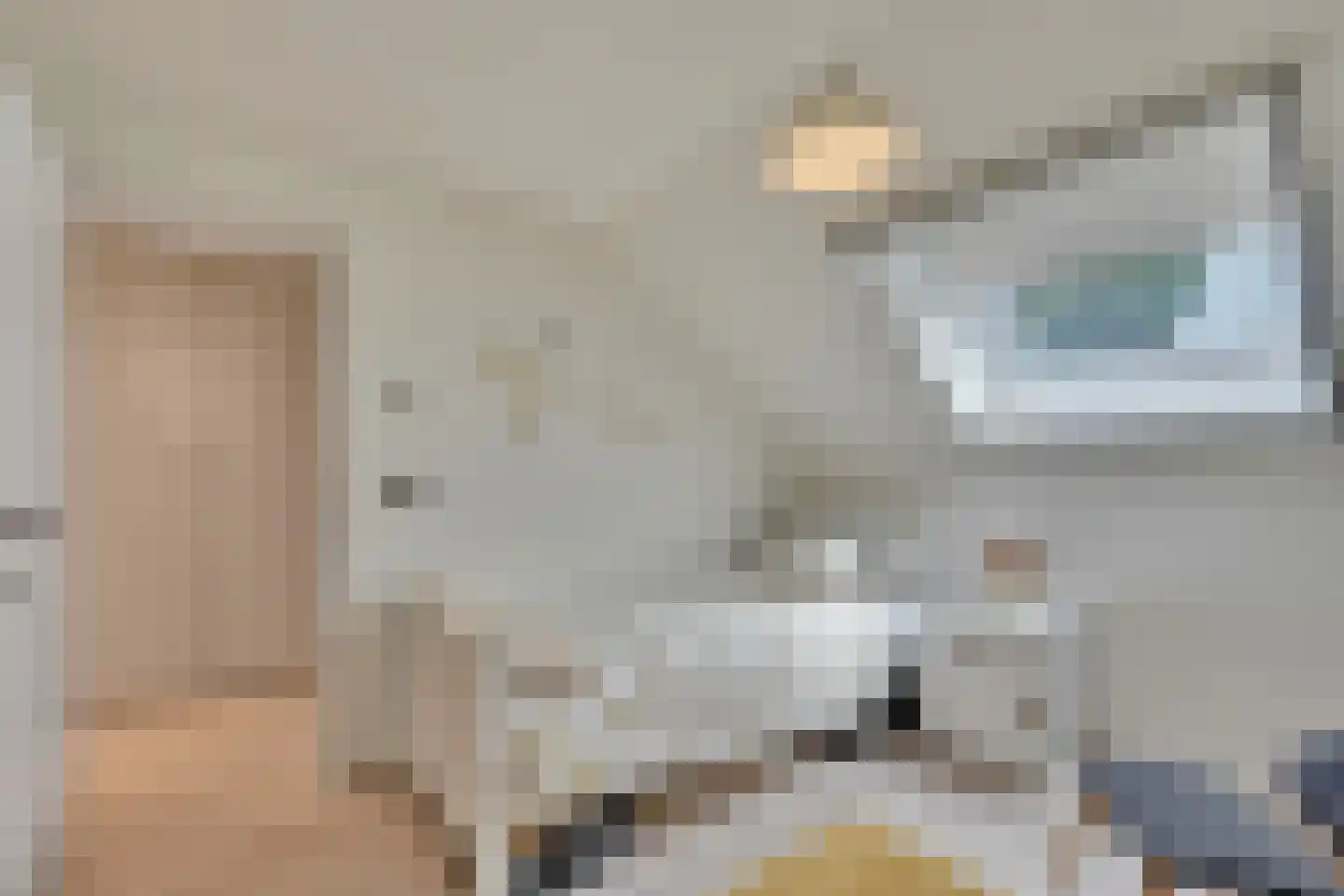 Klein Belgie 15 A Vijfhuizen thumbnail 13
