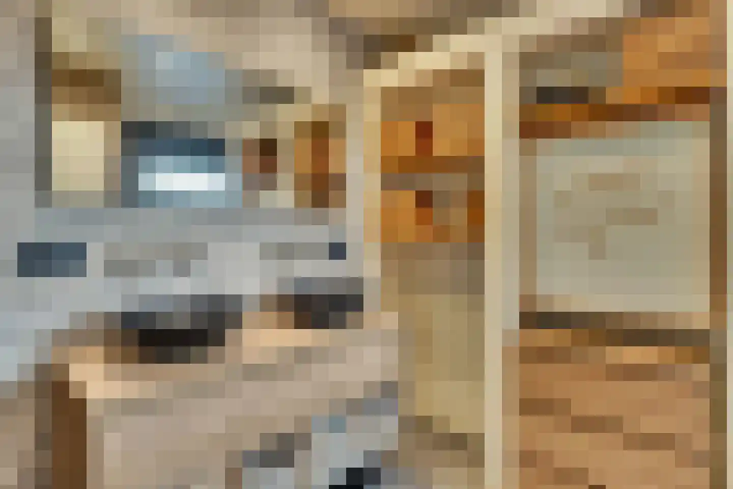 Klein Belgie 15 A Vijfhuizen thumbnail 15