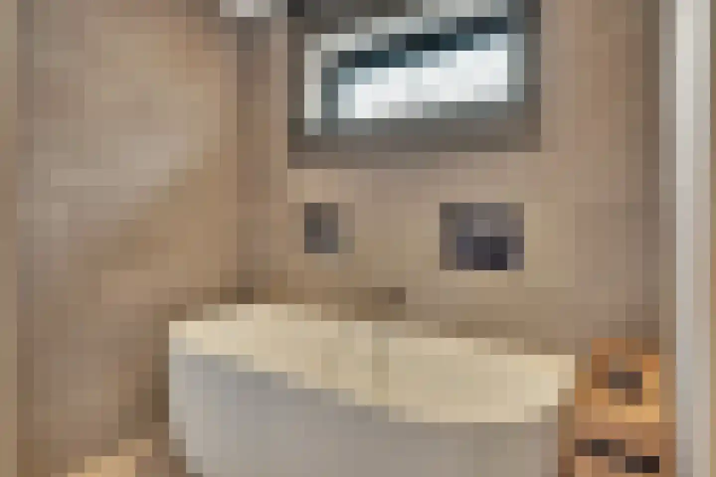 Klein Belgie 15 A Vijfhuizen thumbnail 16