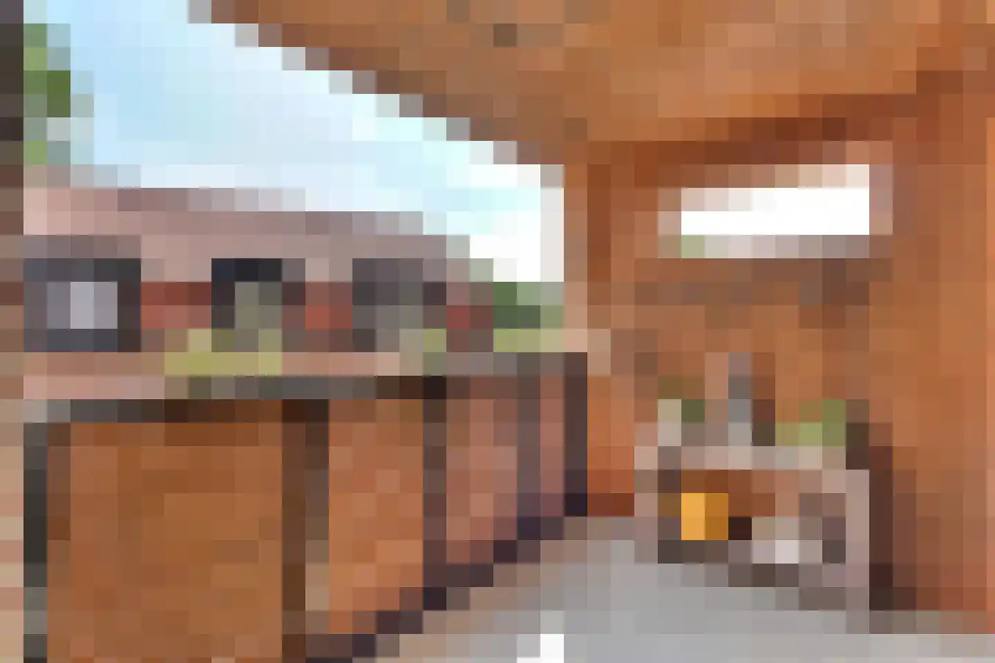Klein Belgie 15 A Vijfhuizen thumbnail 20
