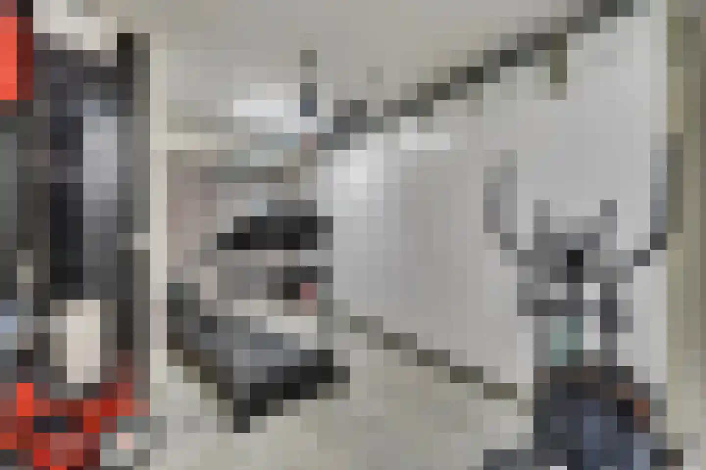 Klein Belgie 15 A Vijfhuizen thumbnail 22
