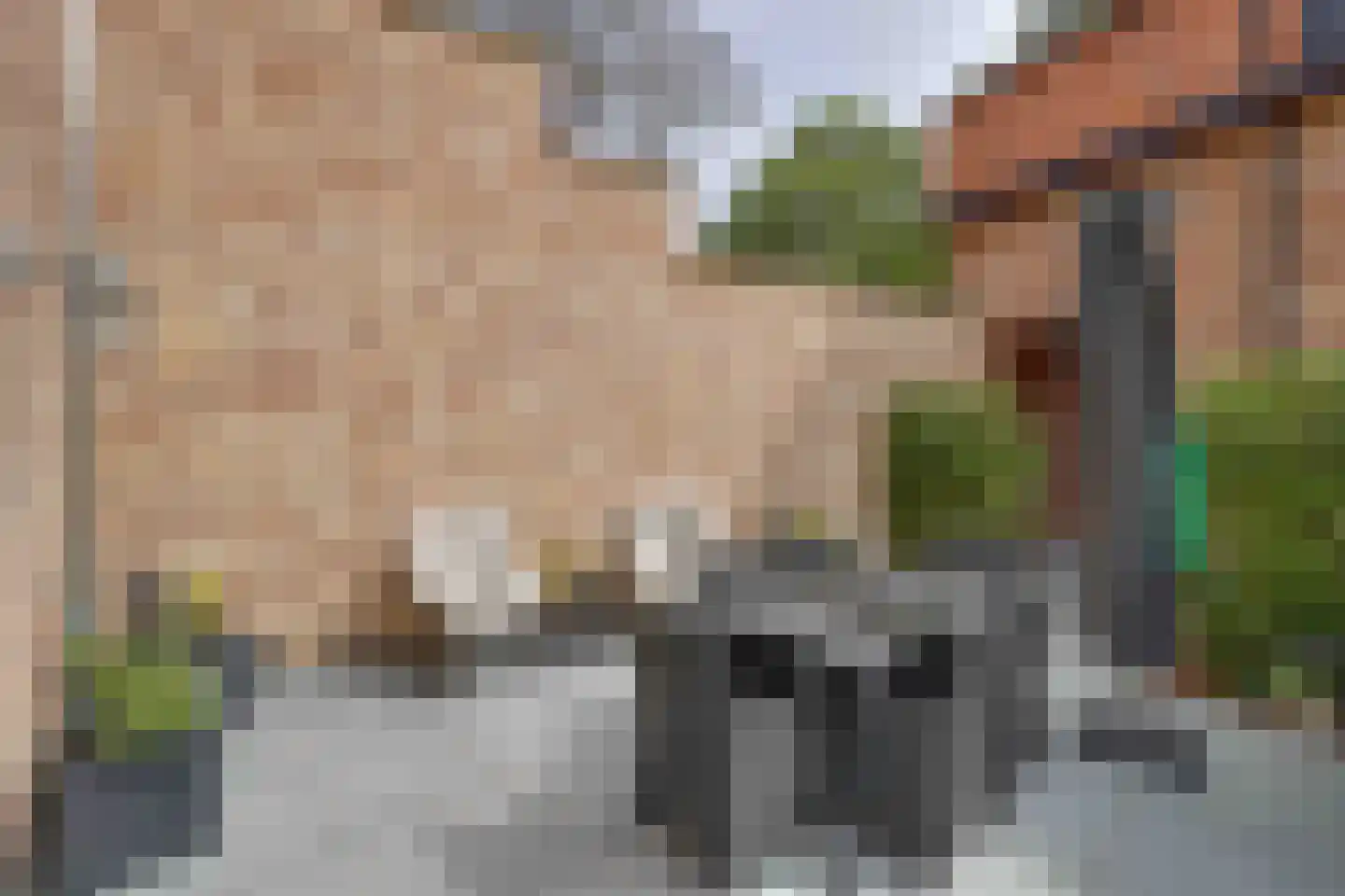 Klein Belgie 15 A Vijfhuizen thumbnail 24