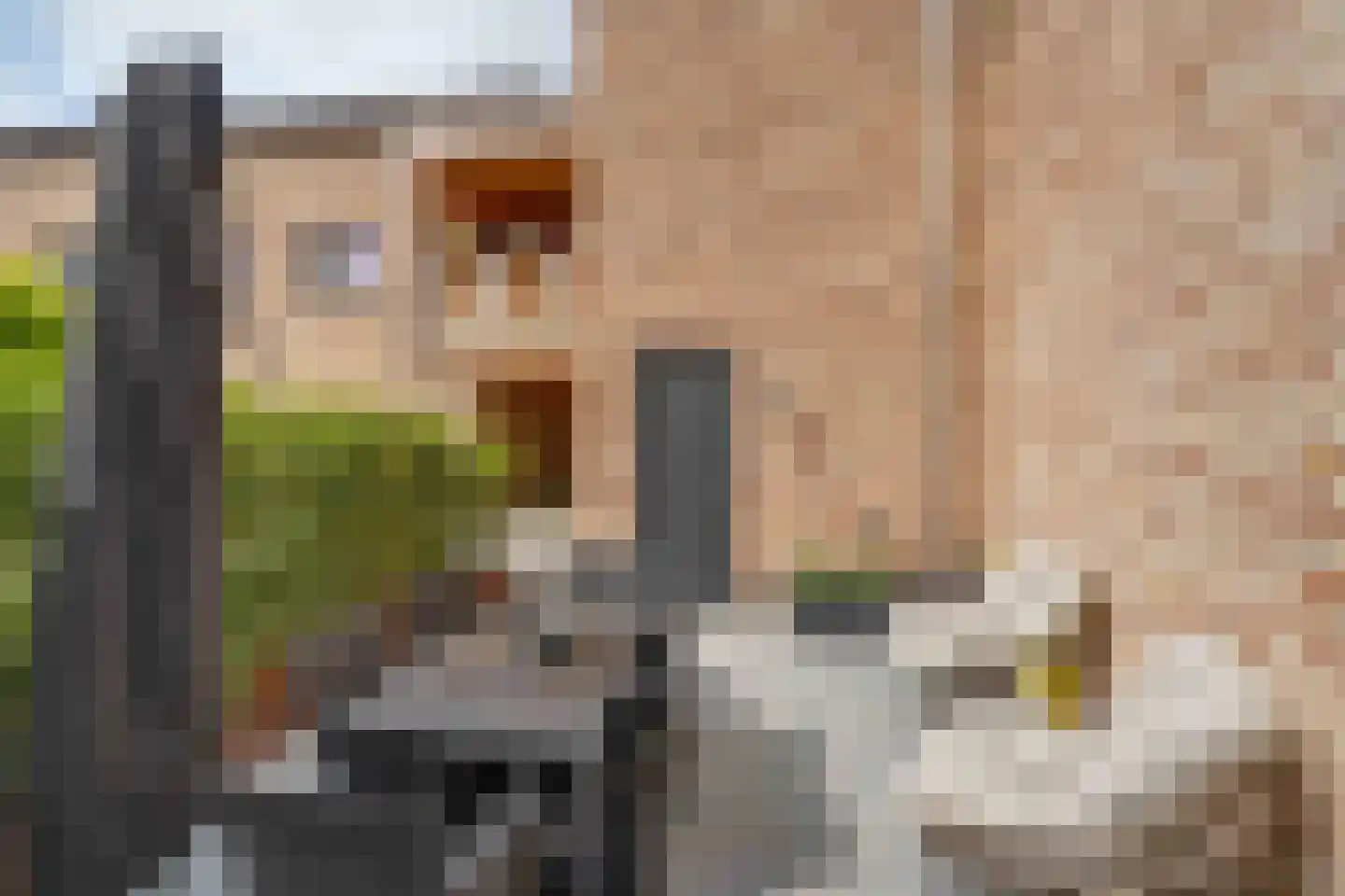 Klein Belgie 15 A Vijfhuizen thumbnail 25