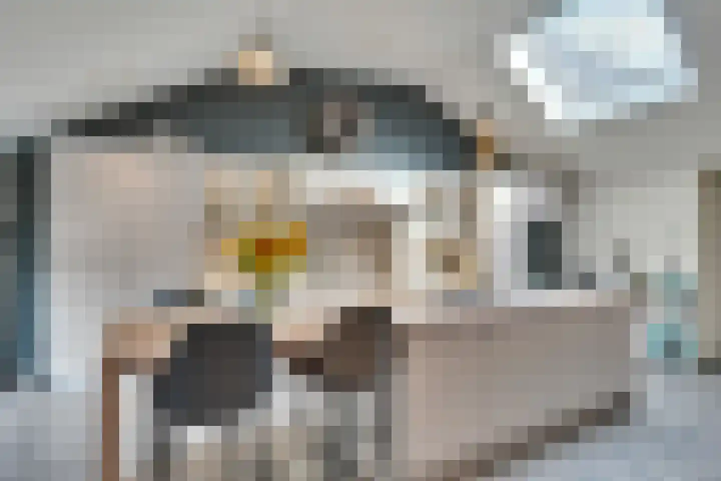 Klein Belgie 15 A Vijfhuizen thumbnail 4