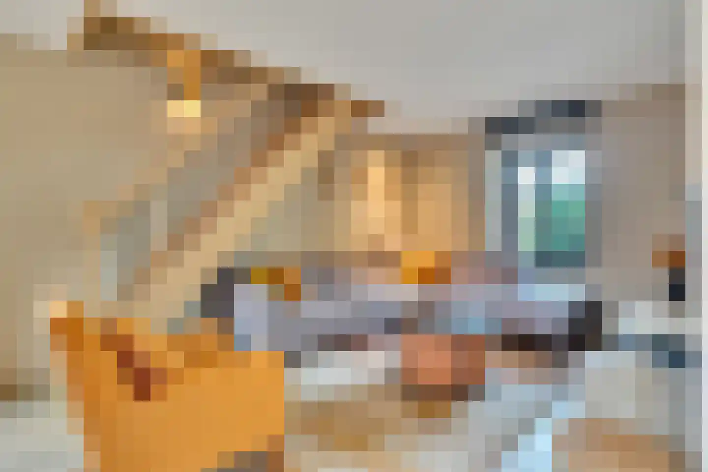Klein Belgie 15 A Vijfhuizen thumbnail 7