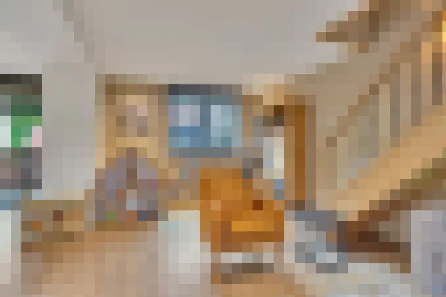 Klein Belgie 15 A Vijfhuizen thumbnail 8