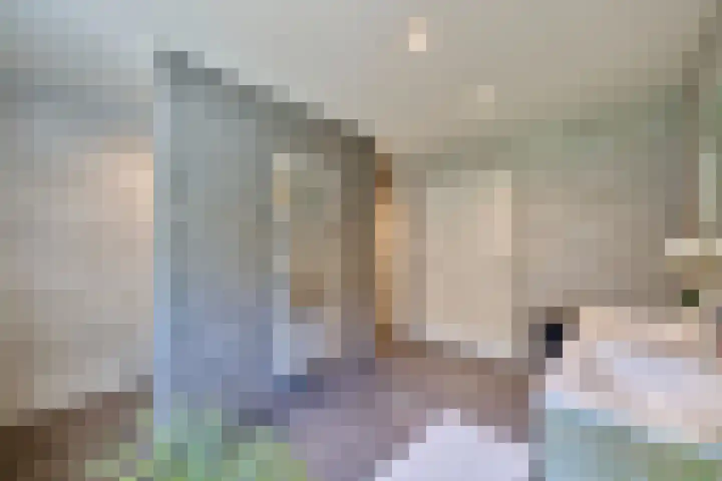 Klein Belgie 15 Vijfhuizen thumbnail 11