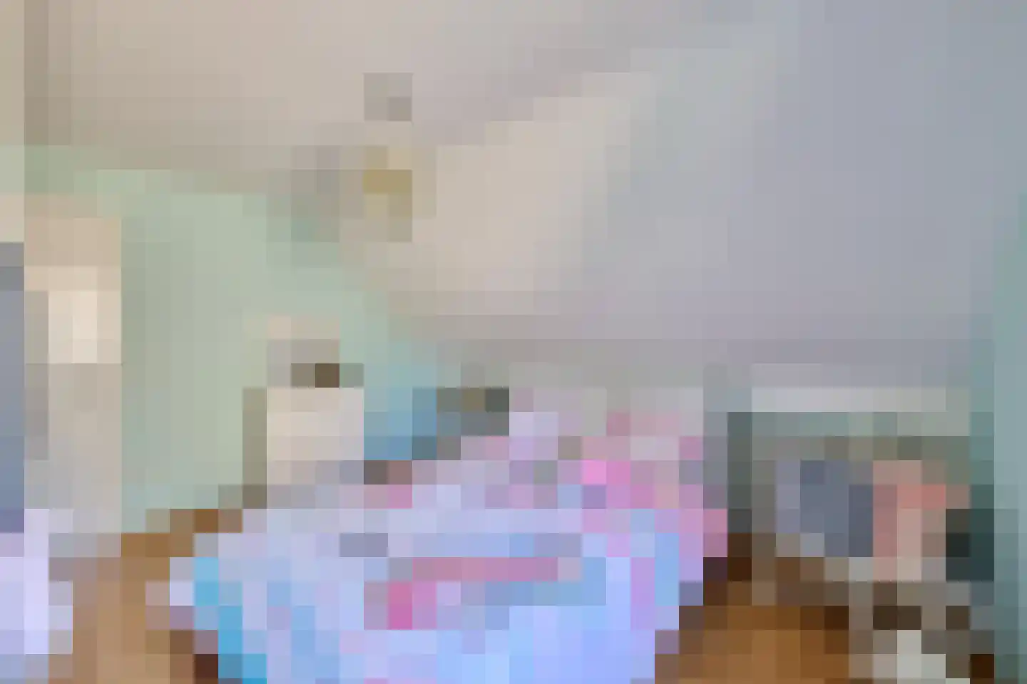 Klein Belgie 15 Vijfhuizen thumbnail 15