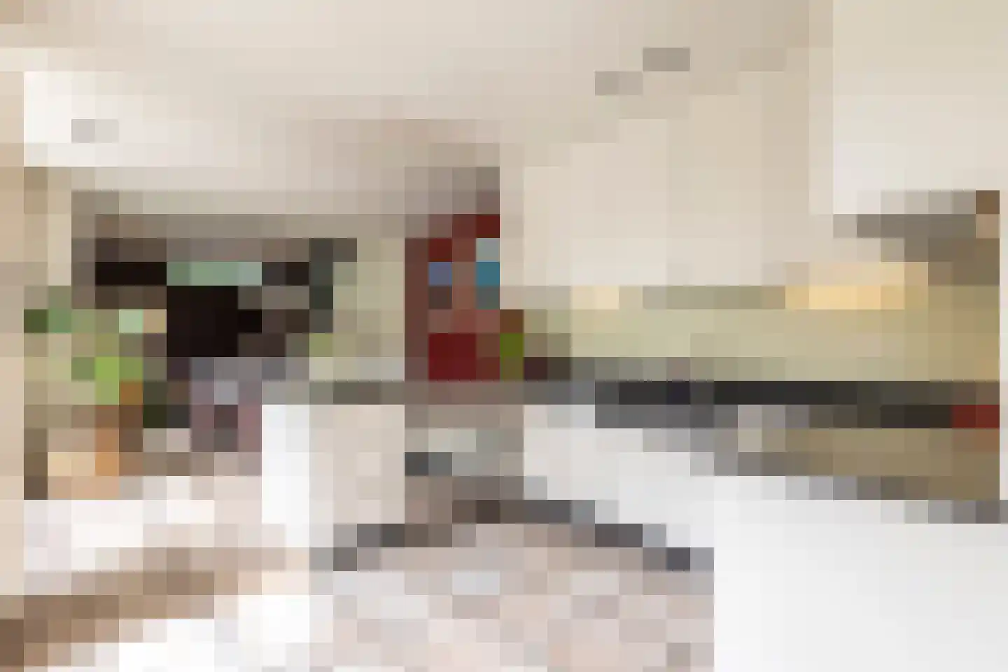 Klein Belgie 15 Vijfhuizen thumbnail 15