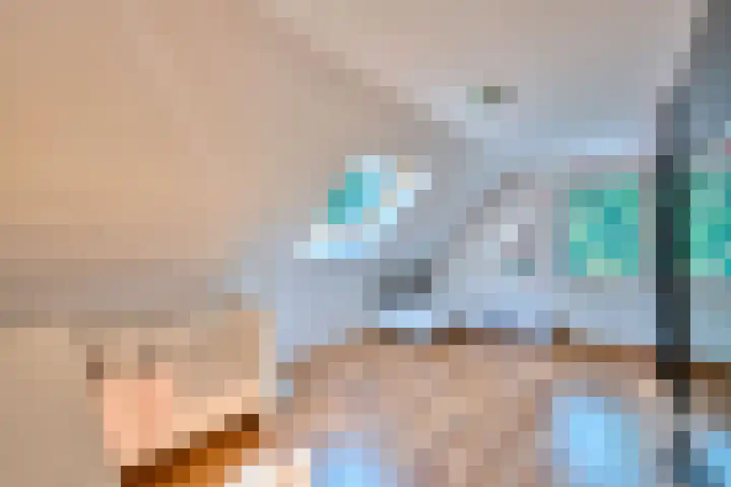 Klein Belgie 15 Vijfhuizen thumbnail 17