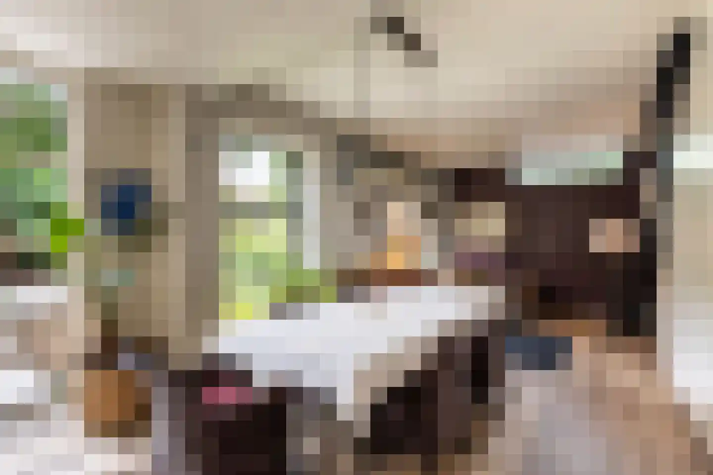 Klein Belgie 15 Vijfhuizen thumbnail 19