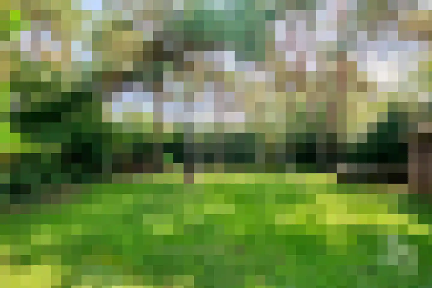Klein Belgie 15 Vijfhuizen thumbnail 27