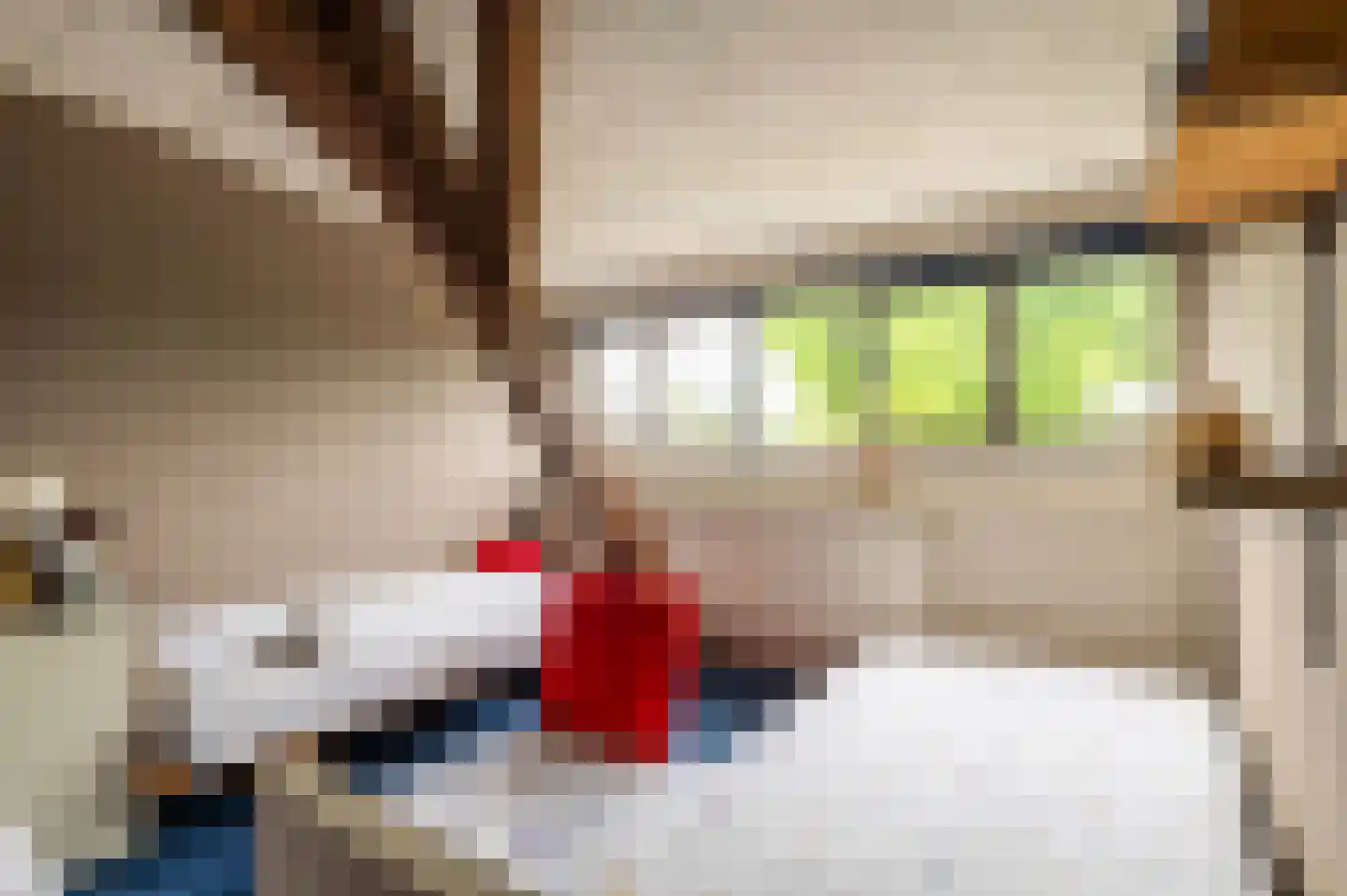 Klein Belgie 15 Vijfhuizen thumbnail 34