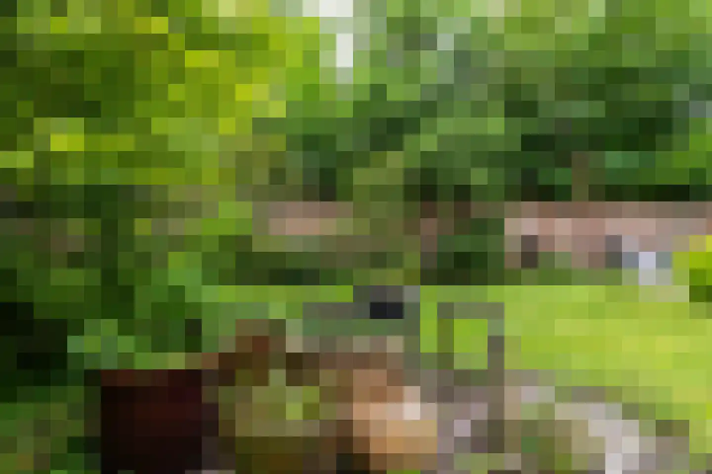 Klein Belgie 15 Vijfhuizen thumbnail 38