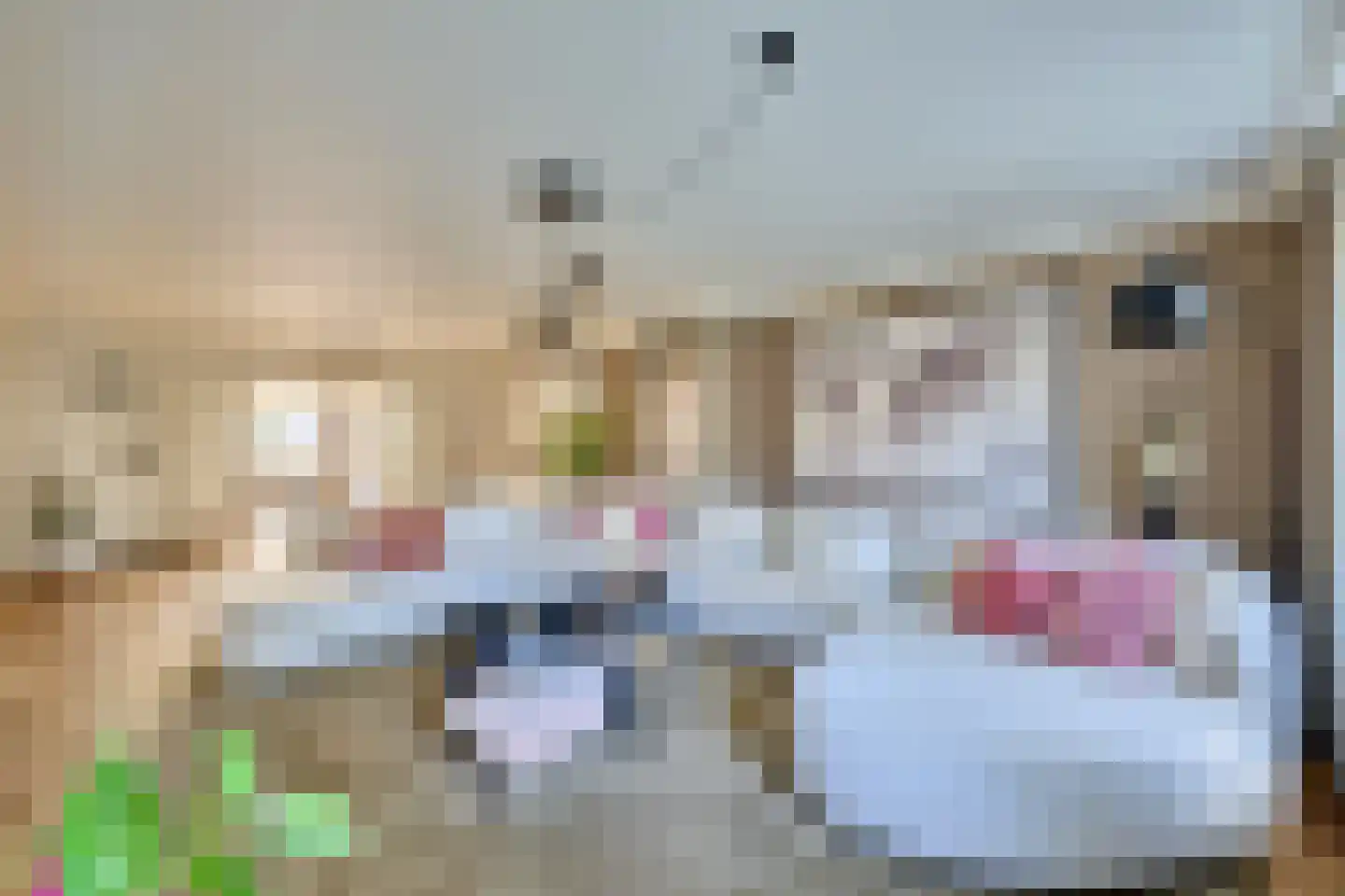 Klein Belgie 15 Vijfhuizen thumbnail 7