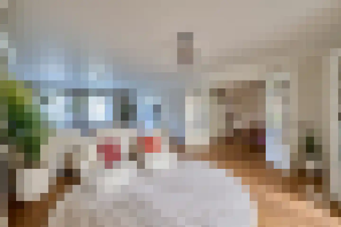 Klein Belgie 15 Vijfhuizen thumbnail 8