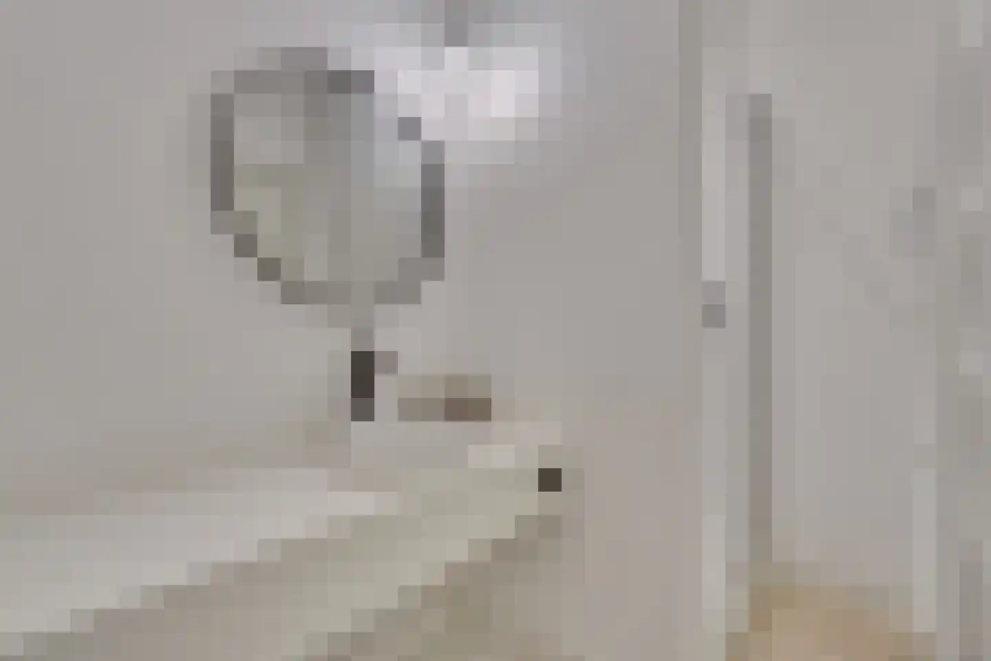 Klein Belgie 16 Vijfhuizen thumbnail 11