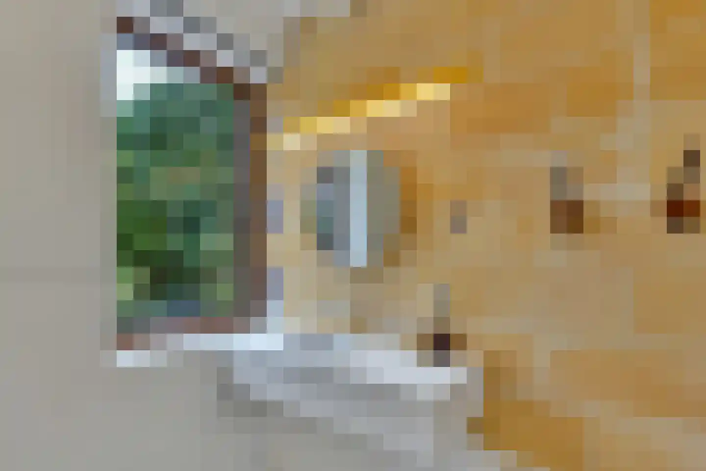 Klein Belgie 16 Vijfhuizen thumbnail 12