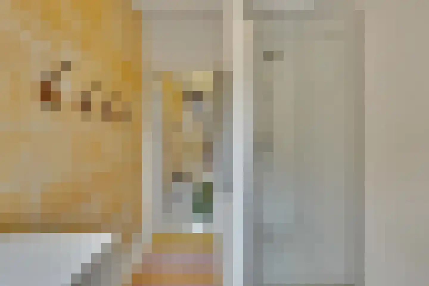 Klein Belgie 16 Vijfhuizen thumbnail 13