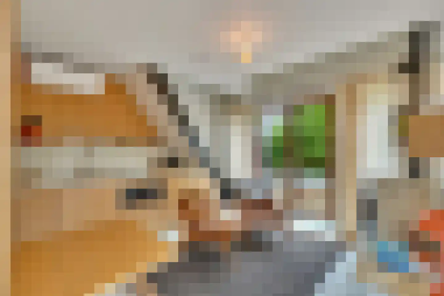 Klein Belgie 16 Vijfhuizen thumbnail 19