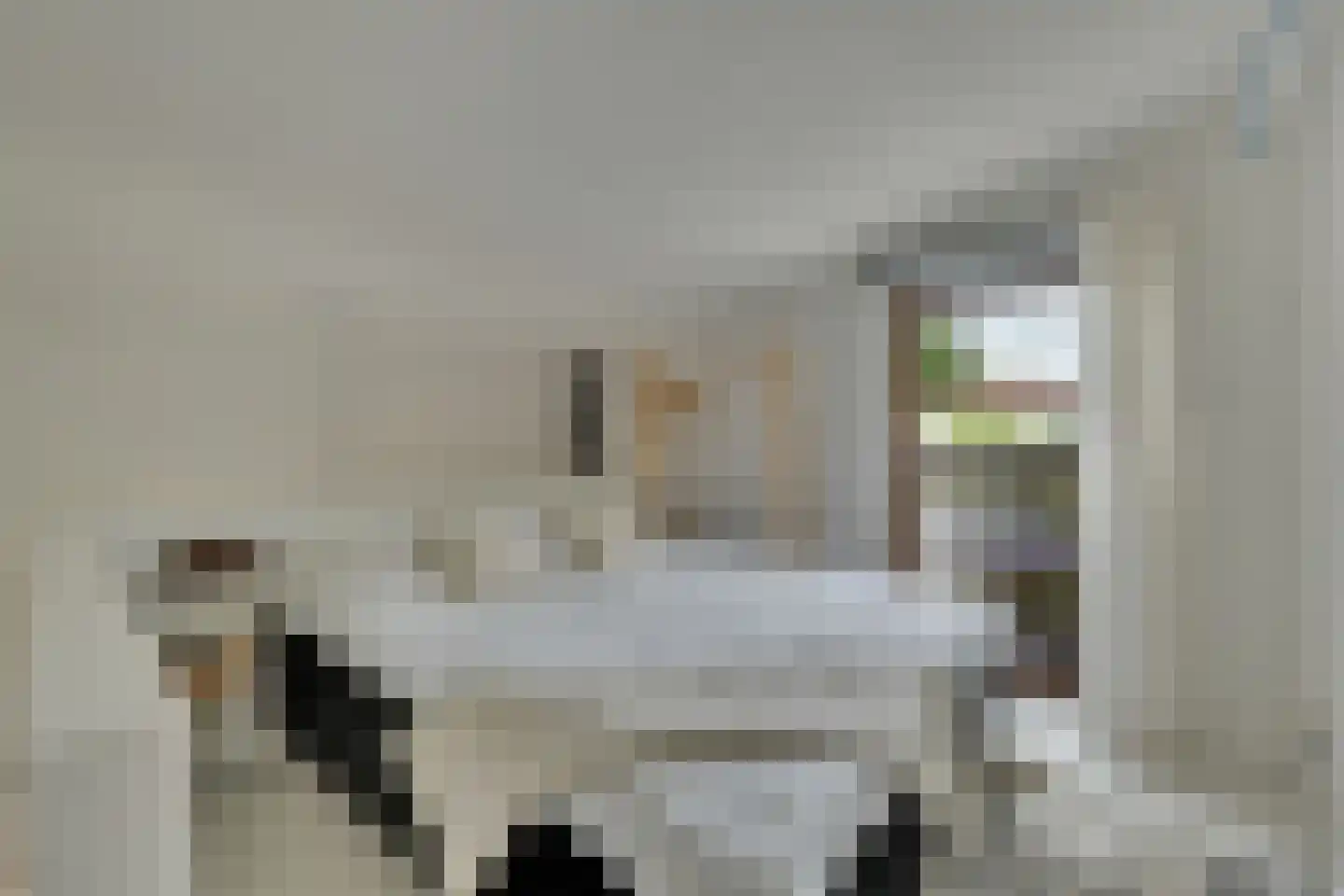 Klein Belgie 16 Vijfhuizen thumbnail 22