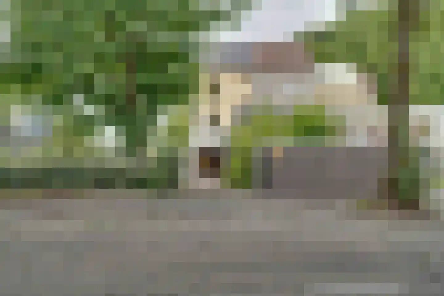 Klein Belgie 16 Vijfhuizen thumbnail 26