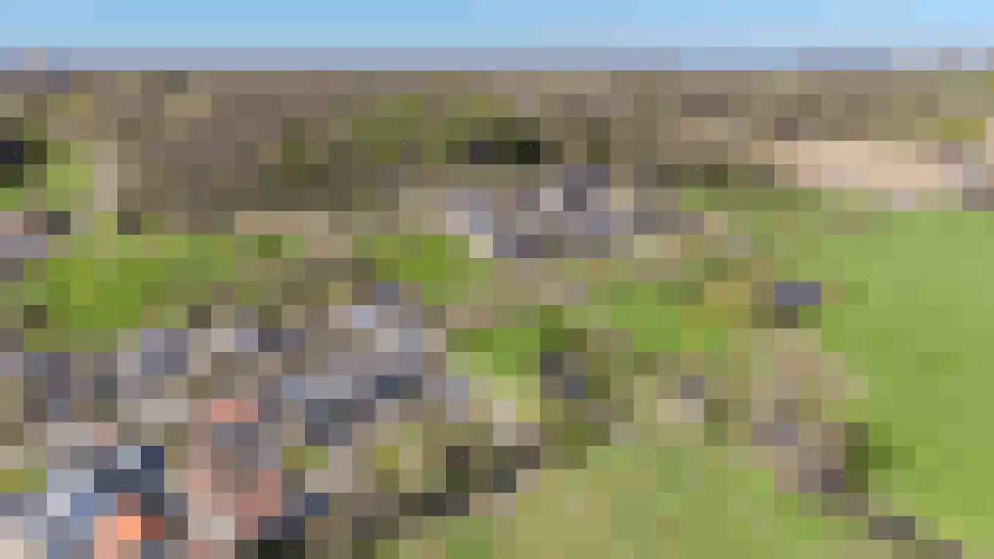Klein Belgie 16 Vijfhuizen thumbnail 5