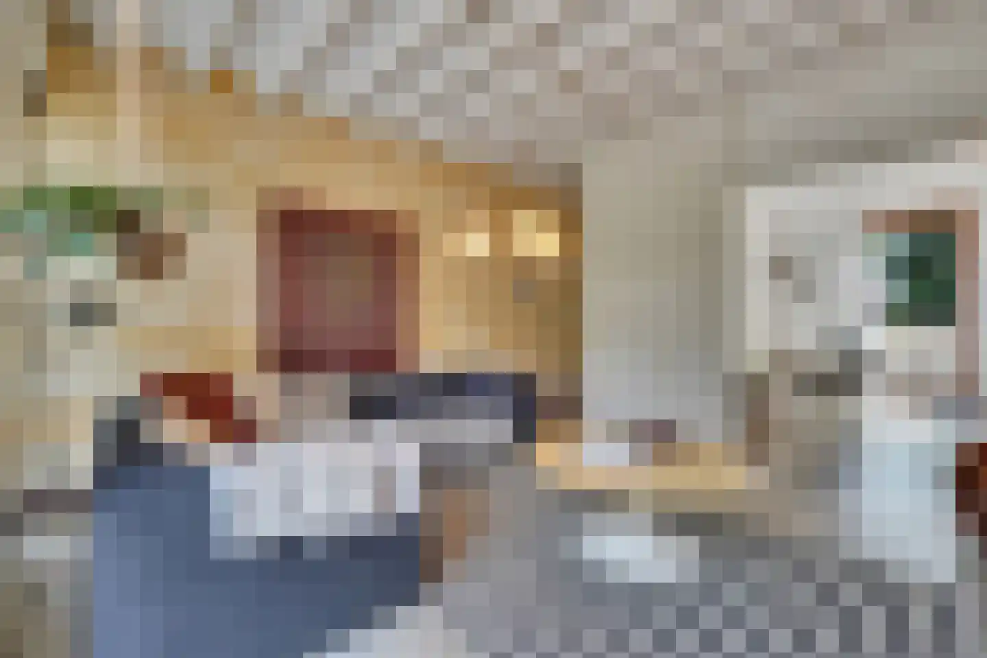 Klein Belgie 16 Vijfhuizen thumbnail 6